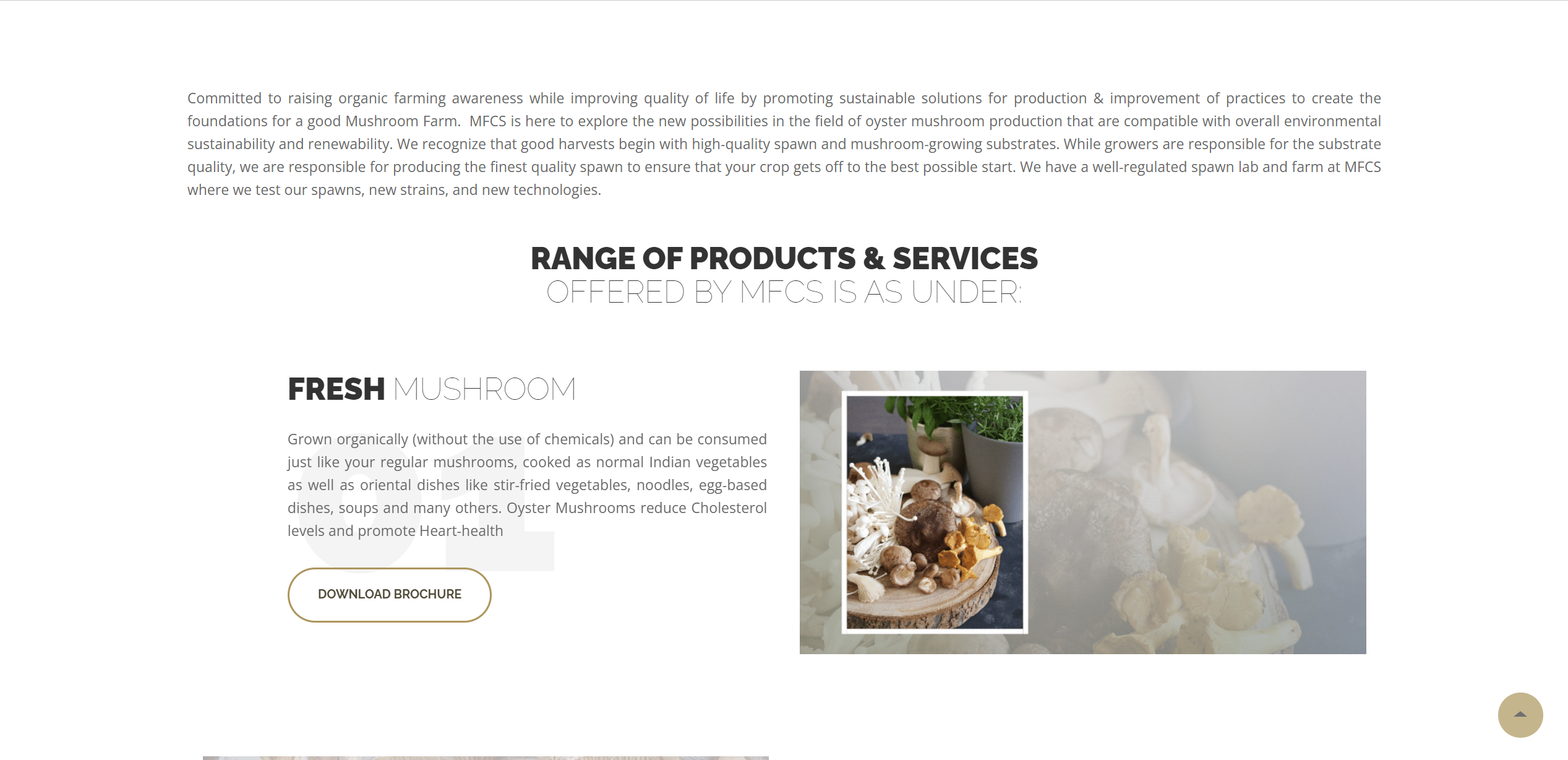 Screenshot 2023-10-07 181317